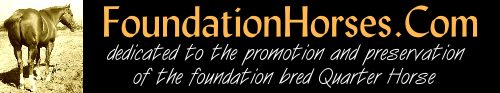 FOUNDATION QUARTER HORSES